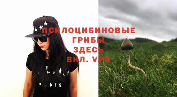 МДПВ Новодвинск
