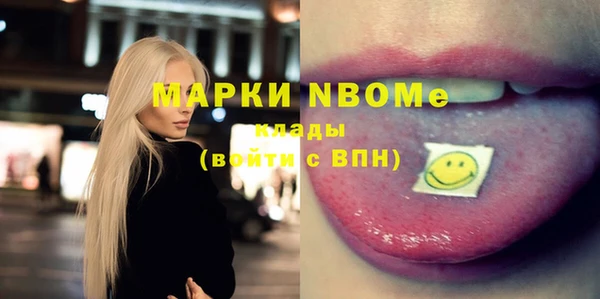 a pvp Новозыбков