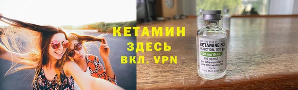 a pvp Новозыбков