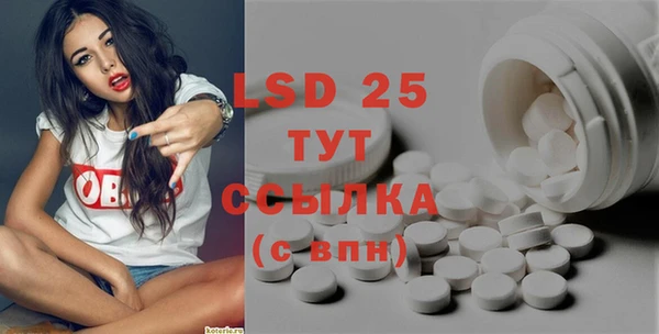 a pvp Новозыбков