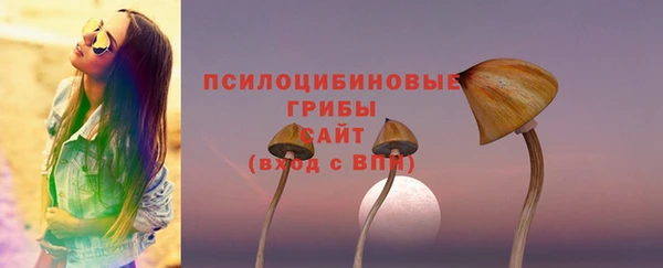 МДПВ Новодвинск