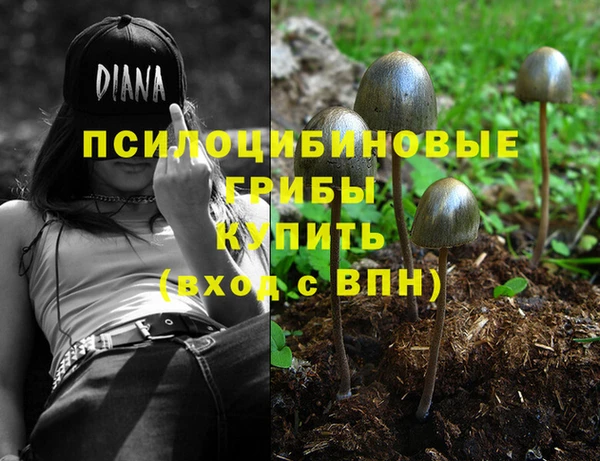 ECSTASY Новокубанск