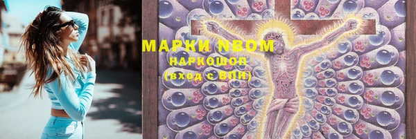 a pvp Новозыбков