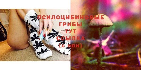 МДПВ Новодвинск