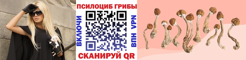 Псилоцибиновые грибы MAGIC MUSHROOMS закладка Приволжск